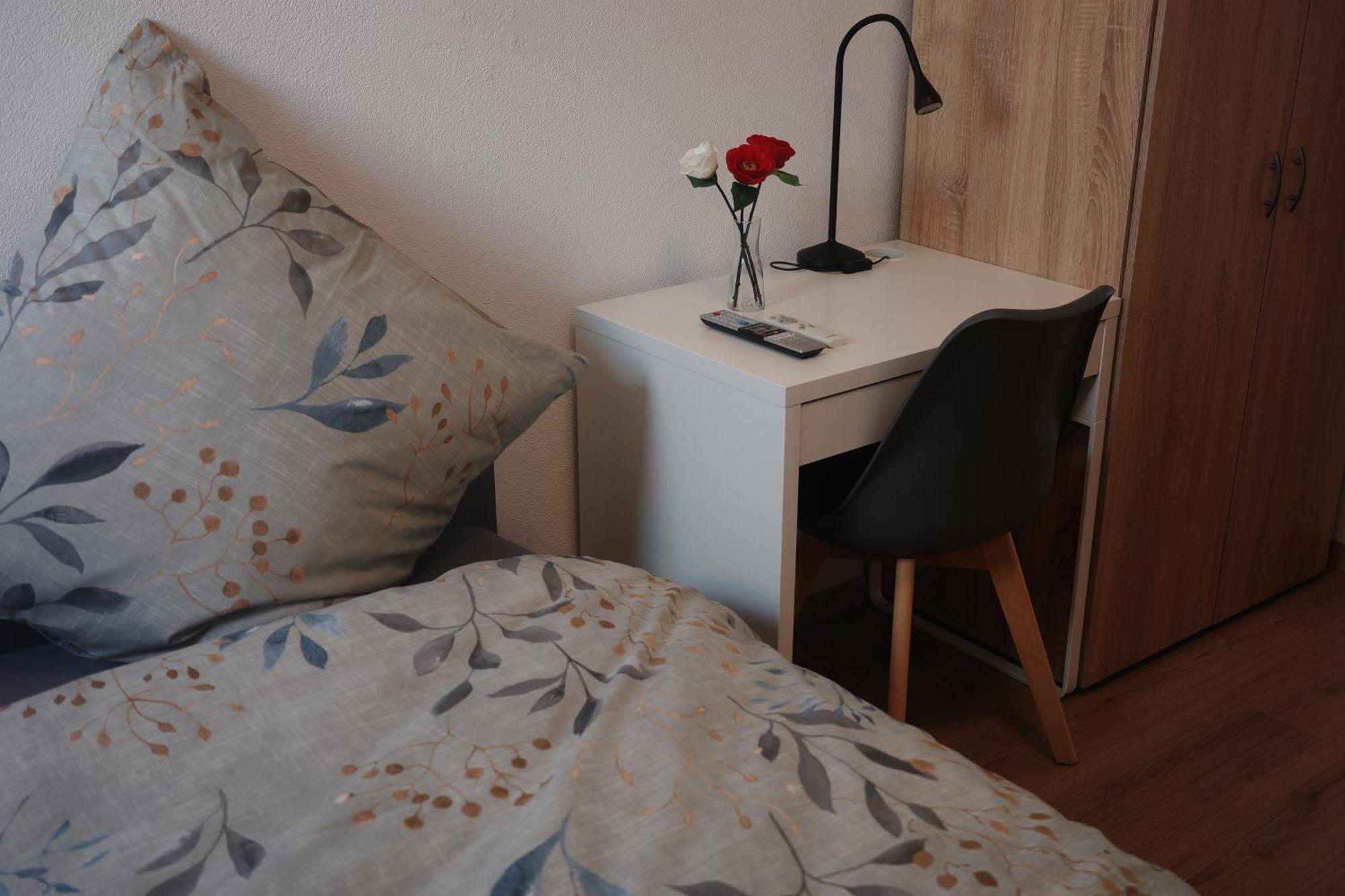 Moderne Wohnung In Eutritzsch Lipsia Esterno foto